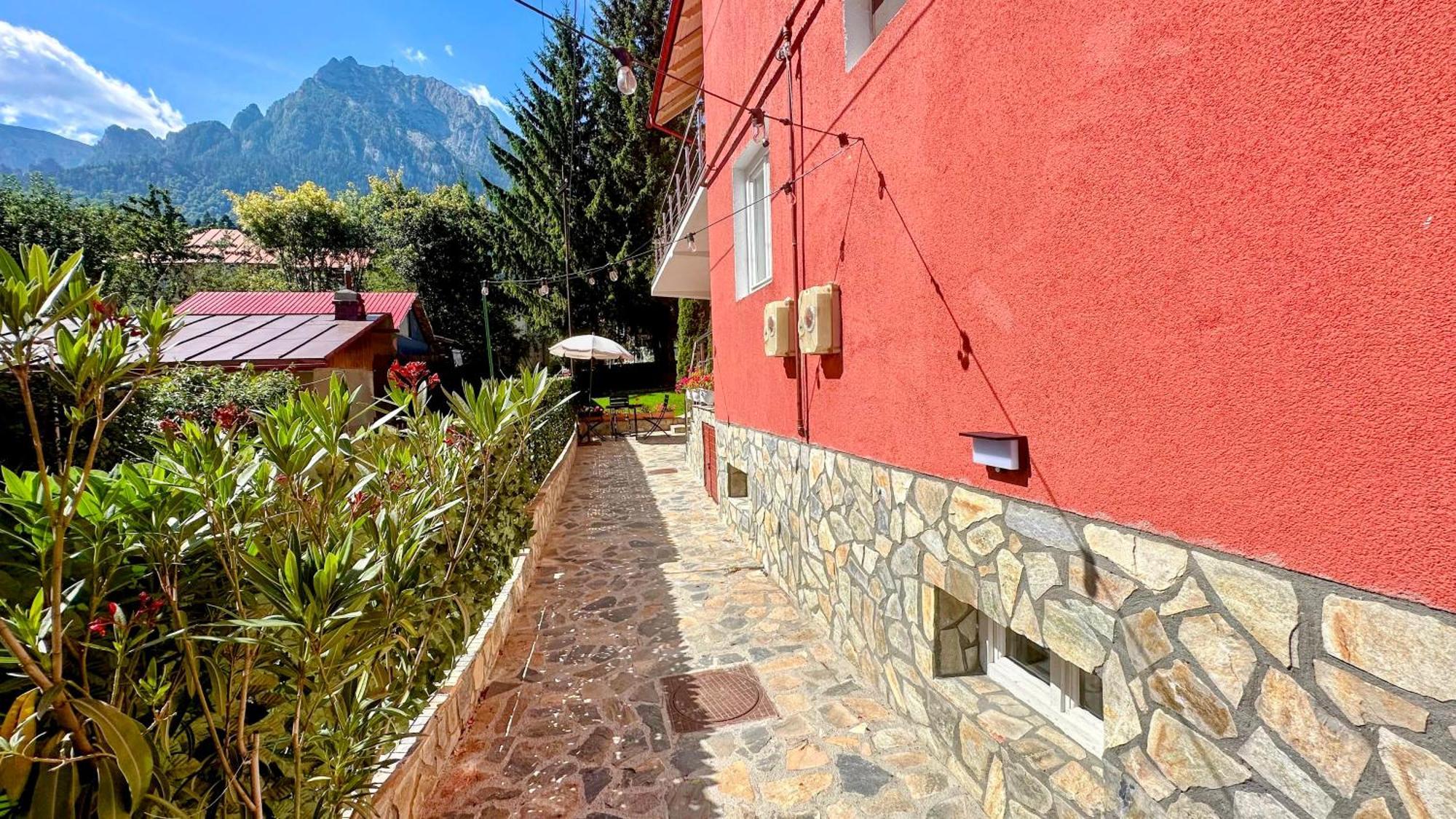 Valea Alba View - Self Check-In Buşteni Exterior foto