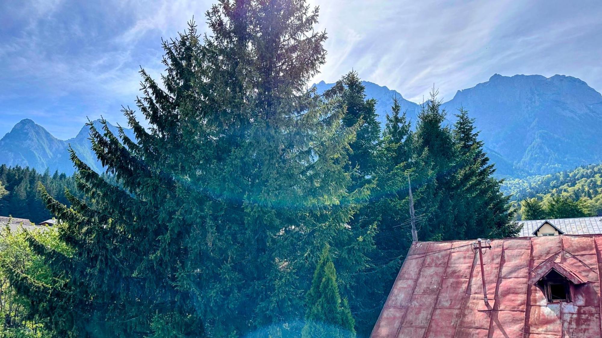 Valea Alba View - Self Check-In Buşteni Exterior foto